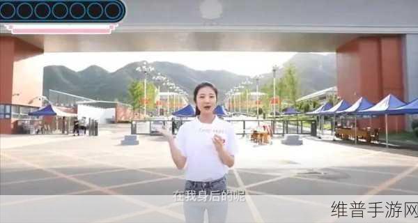 718sx张津瑜国际版车型:718SX张津瑜国际版车型:驾驭未来的运动经典之选