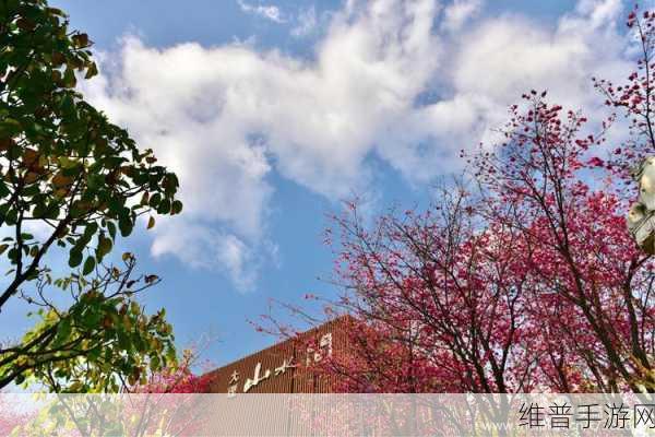 96533影视剧免费观看樱花：1. 《樱花之恋：在春天绽放的爱