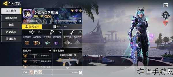 天美吃鸡游戏与使命召唤手游的深度剖析