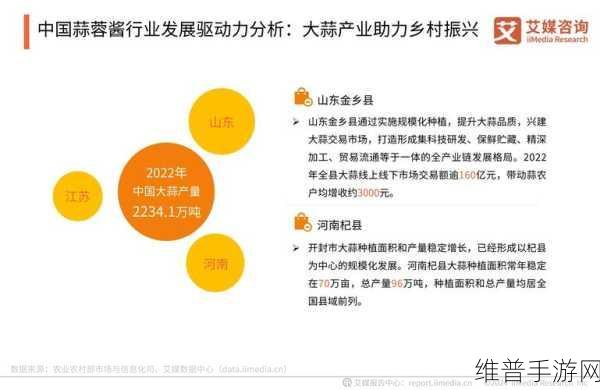 精产国品一二三产区入口公司：1. 精产国品：推动一二三产区国际市场拓展策略