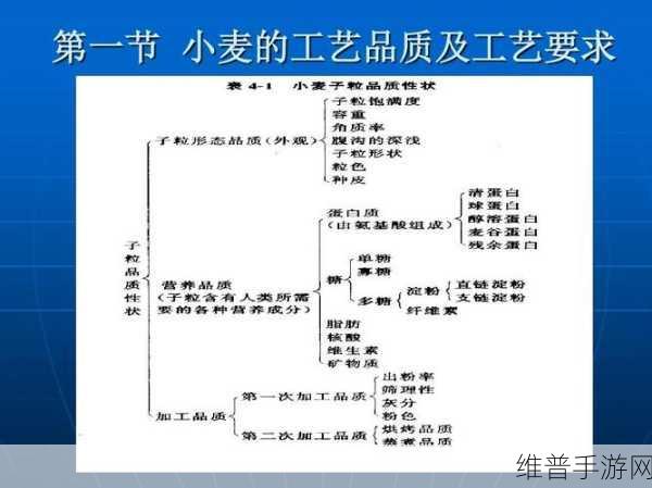 97精产国品：1. 97精产国品：探索品质与创新的完美结合