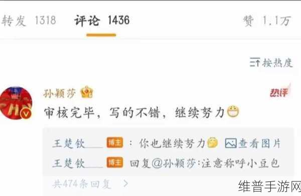 王楚钦前女友公开发文内涵孙颖莎：王楚钦前女友发声，孙颖莎被暗指引热议