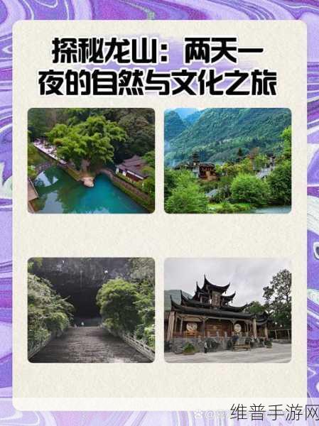精品专区一区：1. 精品专区一区：探索独特的艺术与文化之旅