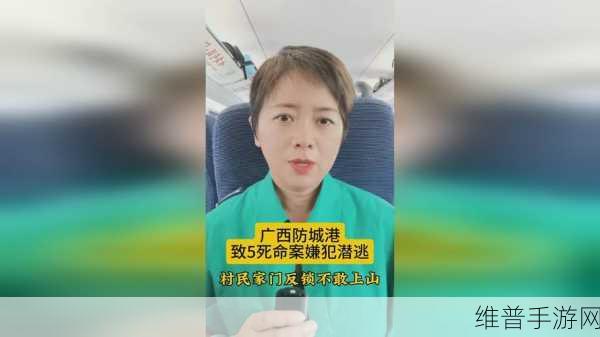 91精产国品一二三产区别：1. 深入解析91精产国品一二三产的分类与特点