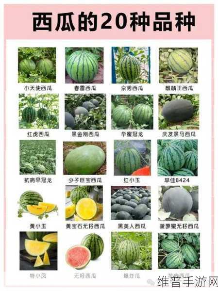 五一吃瓜黑料：1. 五一假期：明星吃瓜背后的隐秘故事