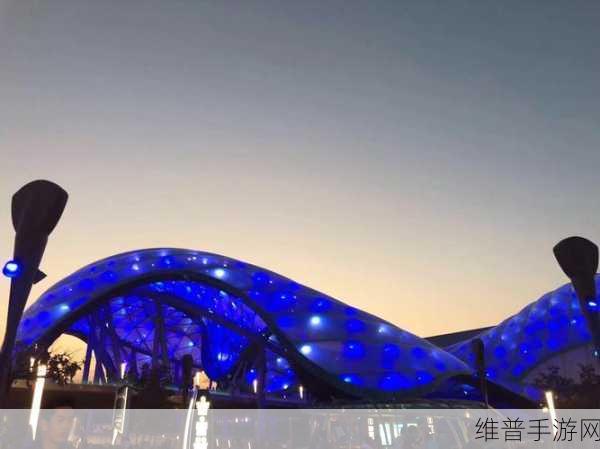 8888国产精华最好的产品：1. 8888国产精华：焕发肌肤年轻活力的秘密
