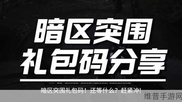 暗区突围cdk礼包兑换码2024:1. 2024年暗区突围CDK礼包兑换码全攻略