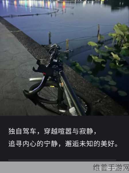 长途汽车和陌生人最后一排:1. 旅途中的意外邂逅:长途汽车上的陌生人故事