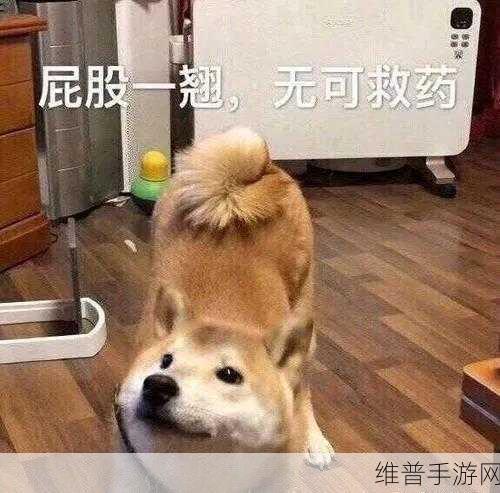 大白腚大白屁股HD:1. 大白腚大白屁股的欢乐生活日记