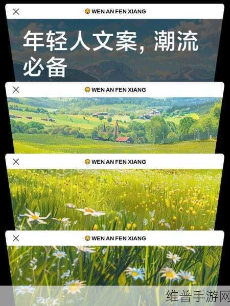 嫩草一哥：1. 嫩草一哥：年轻人的潮流风向标