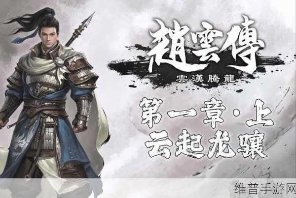赵云传云汉腾龙：1. 赵云传奇：汉朝勇者的腾飞之路