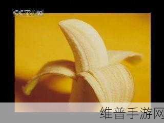 香蕉视频app下载安卓：1. 香蕉视频：畅享无限精彩，随时观看你的最爱