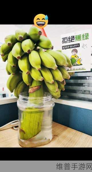 香蕉视频。：1. 香蕉视频：探索生活中的乐趣与创意