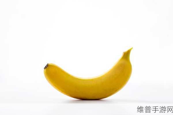香蕉视频。:1. 香蕉视频:探索生活中的乐趣与创意