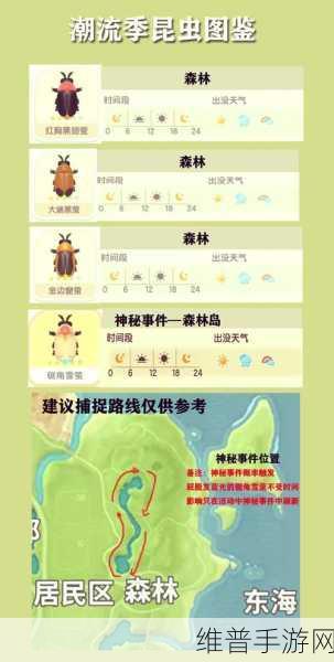 心动小镇七星瓢虫捕捉全攻略