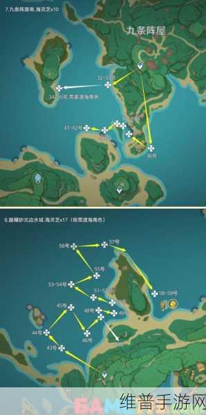 原神海灵芝获取秘籍，畅玩提瓦特之旅
