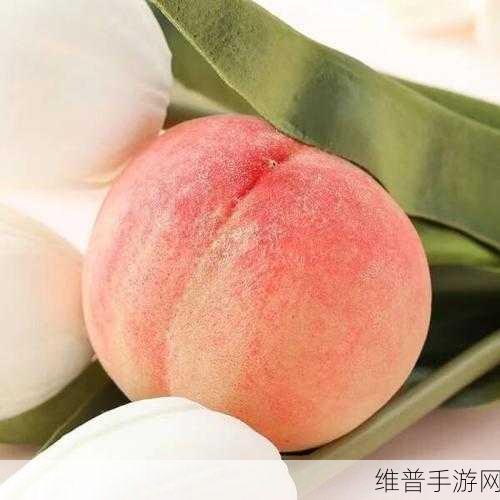 水蜜桃精品一二三:1. 水蜜桃的魅力:品味夏日的清甜
