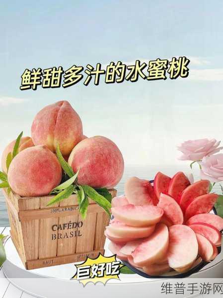水蜜桃精品一二三：1. 水蜜桃的魅力：品味夏日的清甜