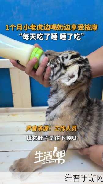 一边下奶一吃敷面膜视频:1. 一边喂奶一边享受美容时光,妈妈的双重乐趣!