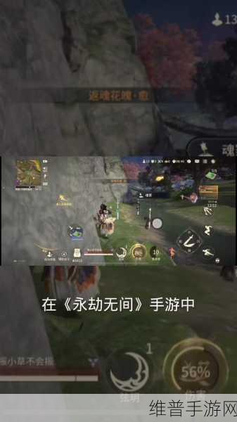 深度解析，永劫无间返魂花的奇妙用途