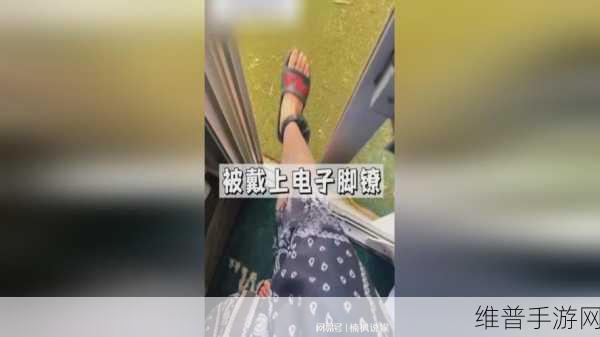 x7x7x7任意噪入口,澎湃号AB：1. 从噪音到宁静：探索X7的智能降噪技术