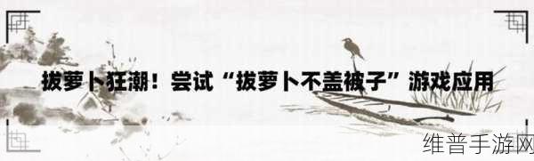 拨萝卜打扑克不盖被子：1. 拨萝卜与打扑克的奇妙生活哲学
