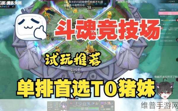 斗魂竞技场最强T0阵容：斗魂竞技场最强T0阵容全解析，打造无敌战队秘笈