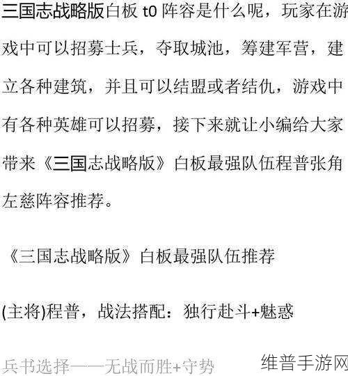 三国志战略版，白板最强共存阵容玩法大揭秘