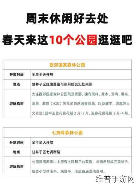 大连公园里30元一次：1. 大连公园30元拓展活动，畅享团队合作乐趣