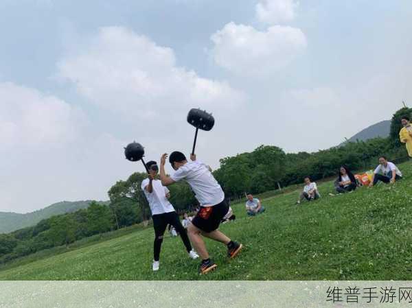 大连公园里30元一次：1. 大连公园30元拓展活动，畅享团队合作乐趣