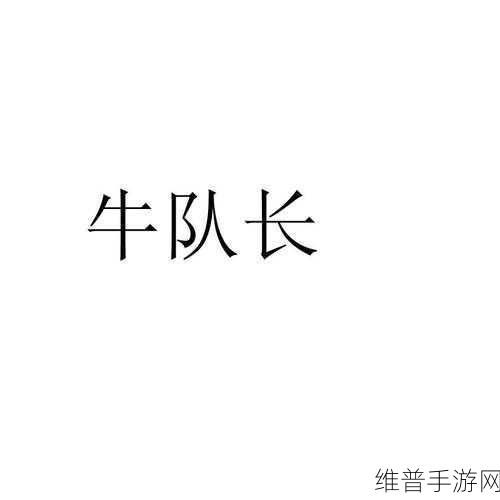 火炬牛队长：1. 火炬牛队长：引领团队迈向辉煌的未来