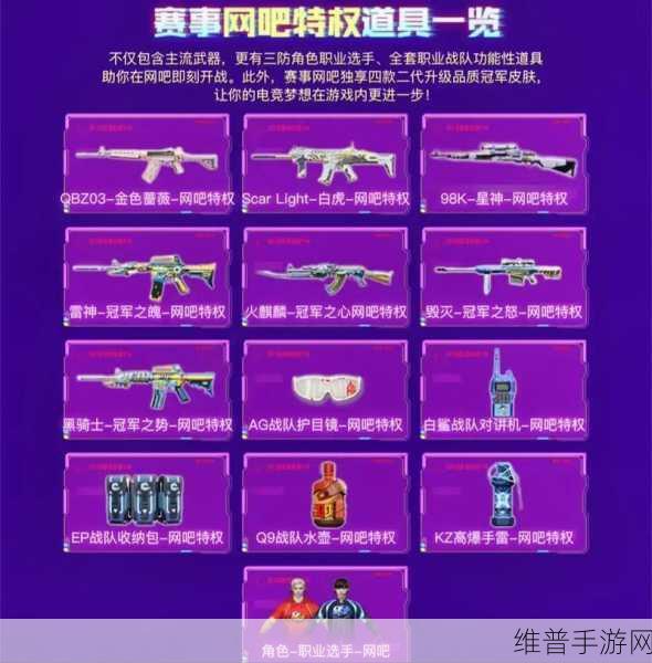 穿越火线手游 VIP 价格全解析与特权一览
