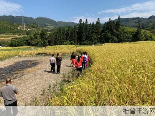 y1uan大家庭新疆：当然可以！以下是一些关于“y1uan大家庭新疆拓展”的新标题建议：