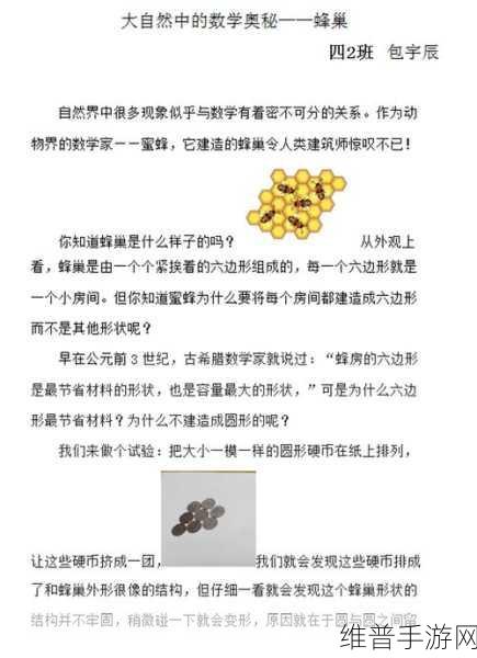 卡一卡二卡三二百老狼信息网:1. 卡一卡二卡三:探寻数字世界的奥秘