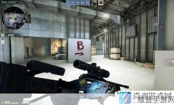 暴躁老姐的csgo最新版本：1. 暴躁老姐：CSGO的疯狂新玩法一探究竟