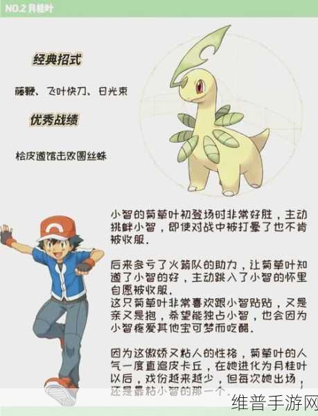 宝可梦大探险妙蛙种子全方位解析，技能强度与实战表现