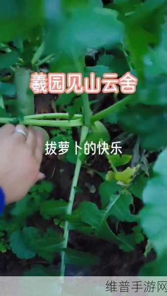 二人世界拔萝卜生猴子软件：1. 两人世界中的快乐冒险：拔萝卜与生猴子的奇遇
