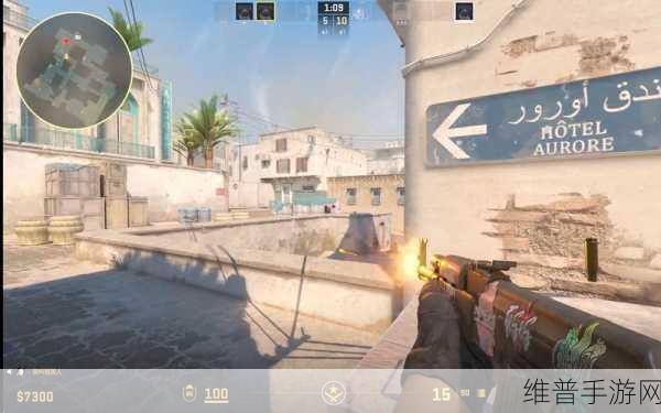暴躁老姐的csgo心得分享45岁：1. ＂暴躁老姐的CSGO心得：45岁也能逆袭游戏圈