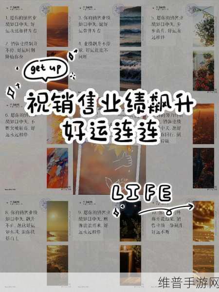 保险销售2的销售秘密：1. 保险销售2的成功秘诀：如何提升业绩？