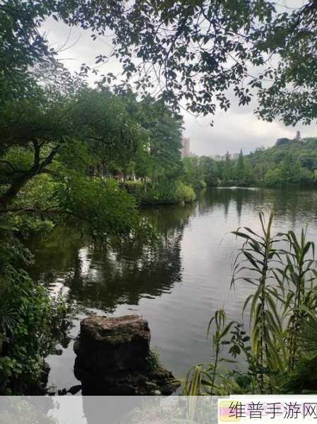 九妖9.1免费版安装：1. 九妖9.1免费版全新安装指南与使用技巧