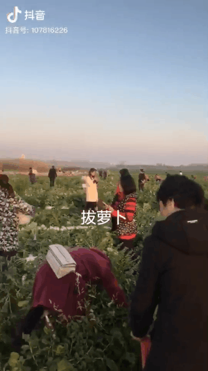 床上动作真人秀拔萝卜：1. 《床上乐趣：拔萝卜真人秀大挑战