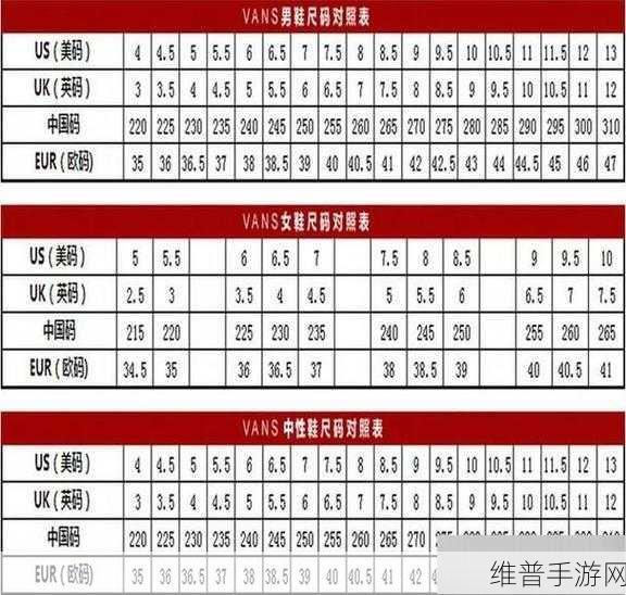 欧亚尺码专线欧洲b1b1免费：1. 深入解析欧亚尺码：了解B1B1的秘密