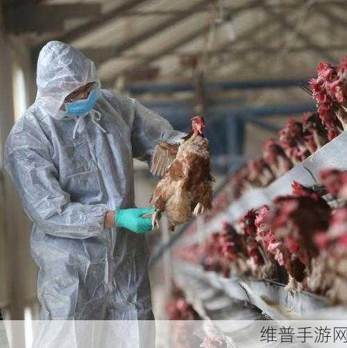 入禽大深免费高清视频:1. 深入探索神秘的禽类世界与生态