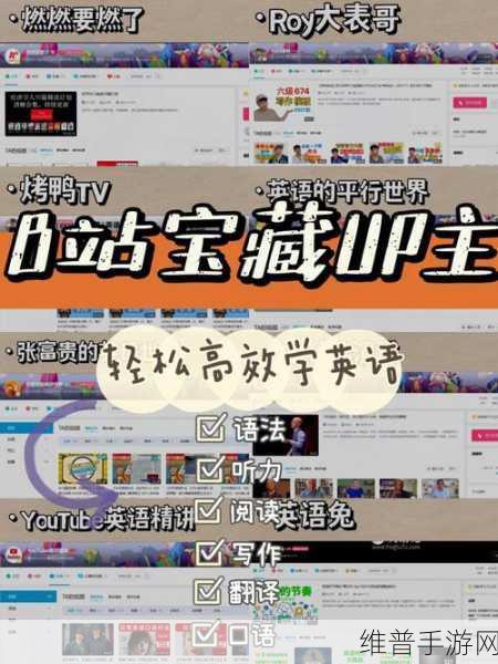 日本B站一卡二卡乱码软件：1. 日本B站一卡二卡：破解视频限制的终极指南