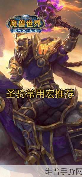 巫妖王之怒生存猎人输出宏：巫妖王之怒生存猎人输出宏：提升伤害与技能搭配技巧探索