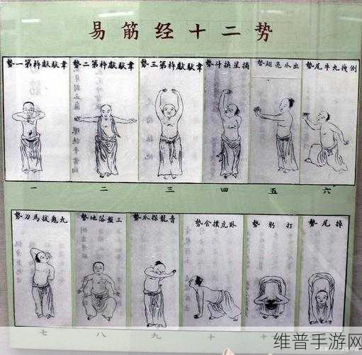 烟雨江湖易筋经修炼全攻略指南