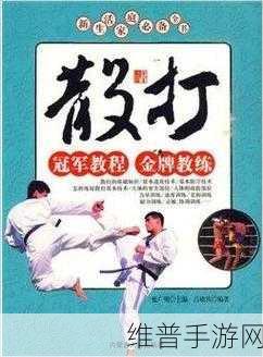 金牌惩戒师SP实验教程：1. 金牌惩戒师SP实验教程：深入探讨实践与理论结合
