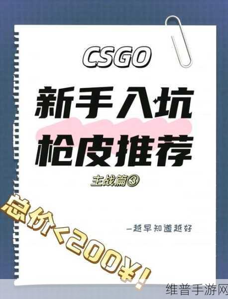 暴躁妹妹csgo：1. 暴躁妹妹：在CSGO战场上的绝地反击
