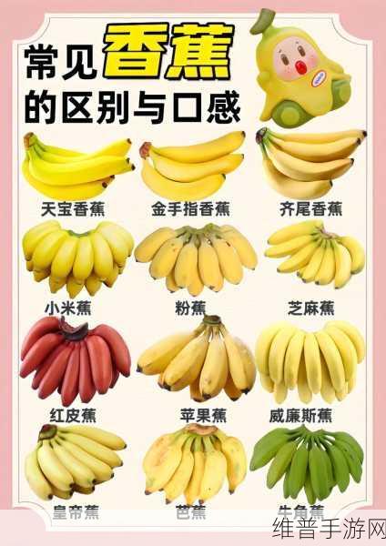 香蕉APP 在线观看:1. 香蕉APP:畅享高清电影与电视剧的最佳选择