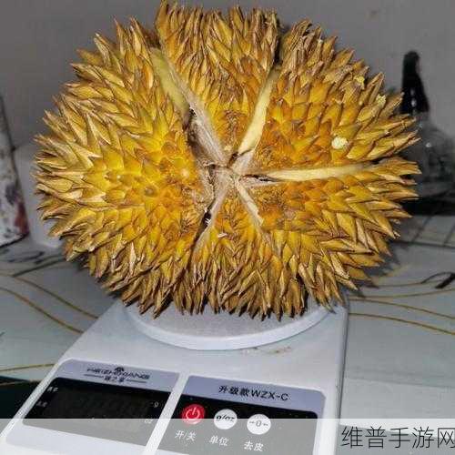 榴莲视频下载网址P站夸克免费下载:1. "轻松获取榴莲视频的最佳下载方法